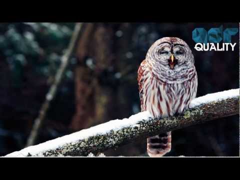 Mr FijiWiji - Apathy (ft. CoMa) [Free EP]