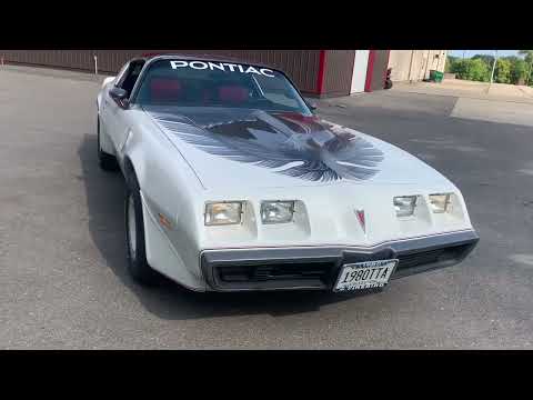 1980 Pontiac Firebird Trans Am (CC-1772086) for sale in Annandale, Minnesota