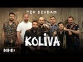 Koliva  - Tek Sevdam