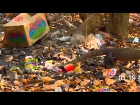 TRASH DAY