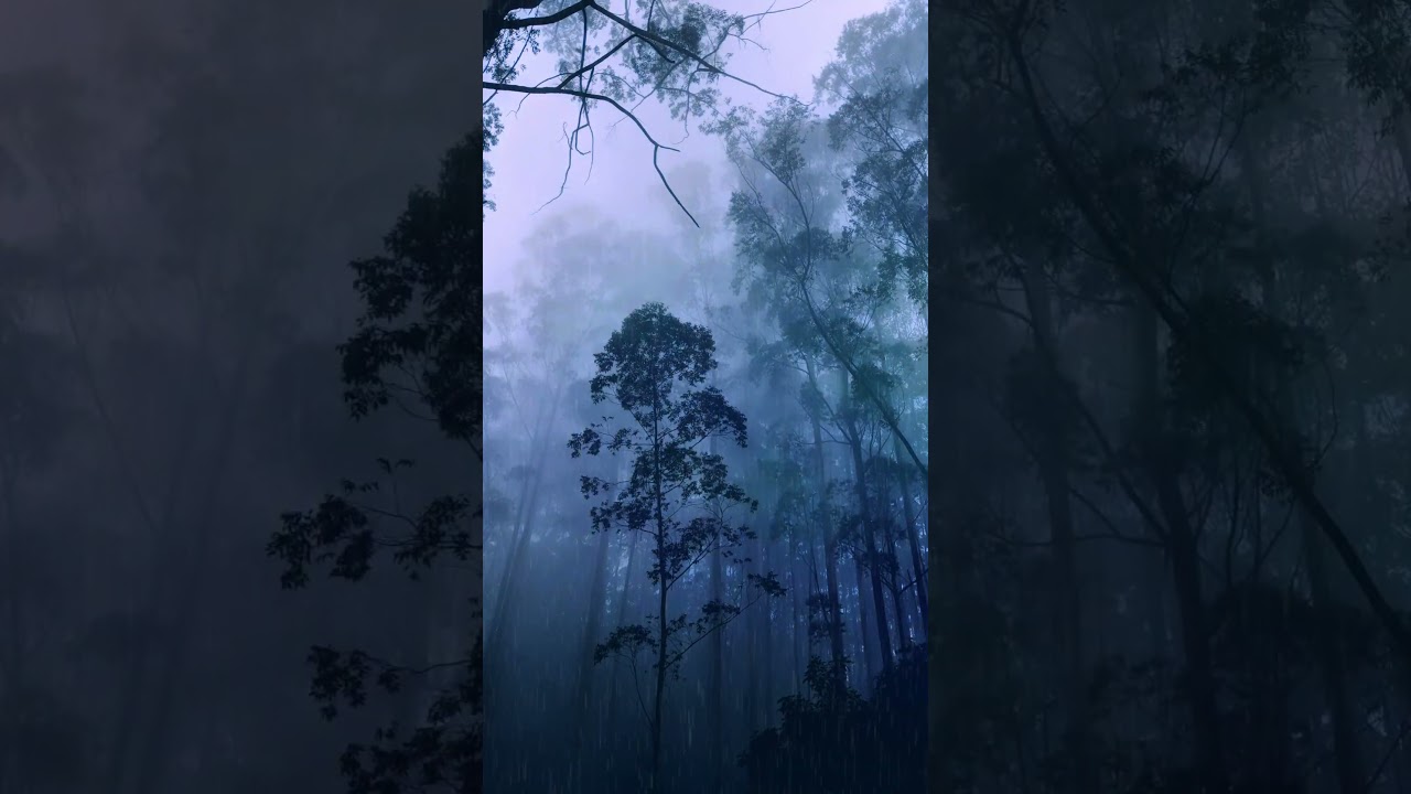 Heavy rain and thunder in a forest #rain