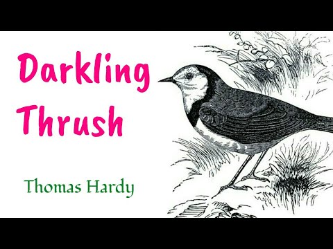 download lagu mp3 mp4 Thrush Poetry, download lagu Thrush Poetry gratis, unduh video klip Thrush Poetry