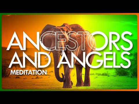 Wisdom from the Ancestral Lineage: Ultimate Ancestors and Angels Meditation | The Reach Approach