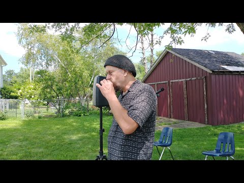 Joe Filisko Harp Workshop at Patriots Gateway Center in Rockford