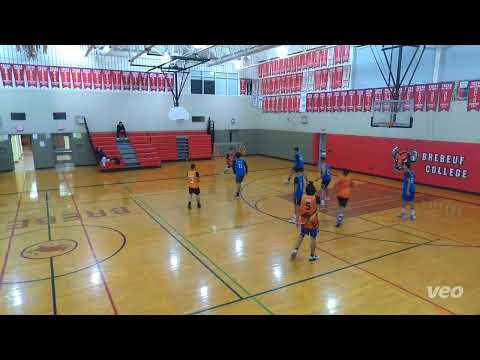 Whole Lotta Heat  (34) tier 10 - 2023 Fall Waryah Law (48) - tcbl sunday