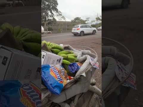 Vendo maíz comidas etc san ramón Alajuela costa rica  pedasito cantón 