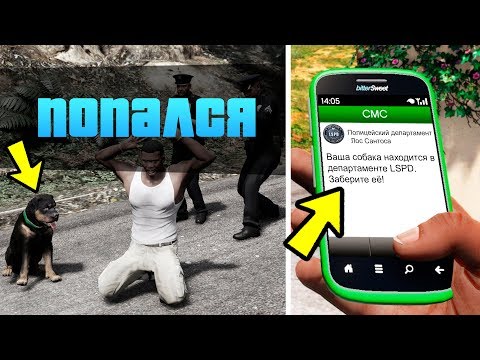 ЧТО ПРОИЗОЙДЕТ С ЧОПОМ ЕСЛИ ФРАНКЛИНА АРЕСТУЮТ?! ЧТО БУДЕТ? (GTA 5)