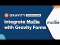 Accept Payments from Around the World with the Gravity Forms Mollie Add-On