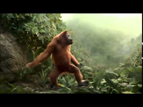 Cute Dancing Orangutan