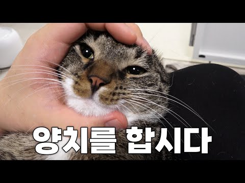 시루는 양치 고수가 되었습니다..