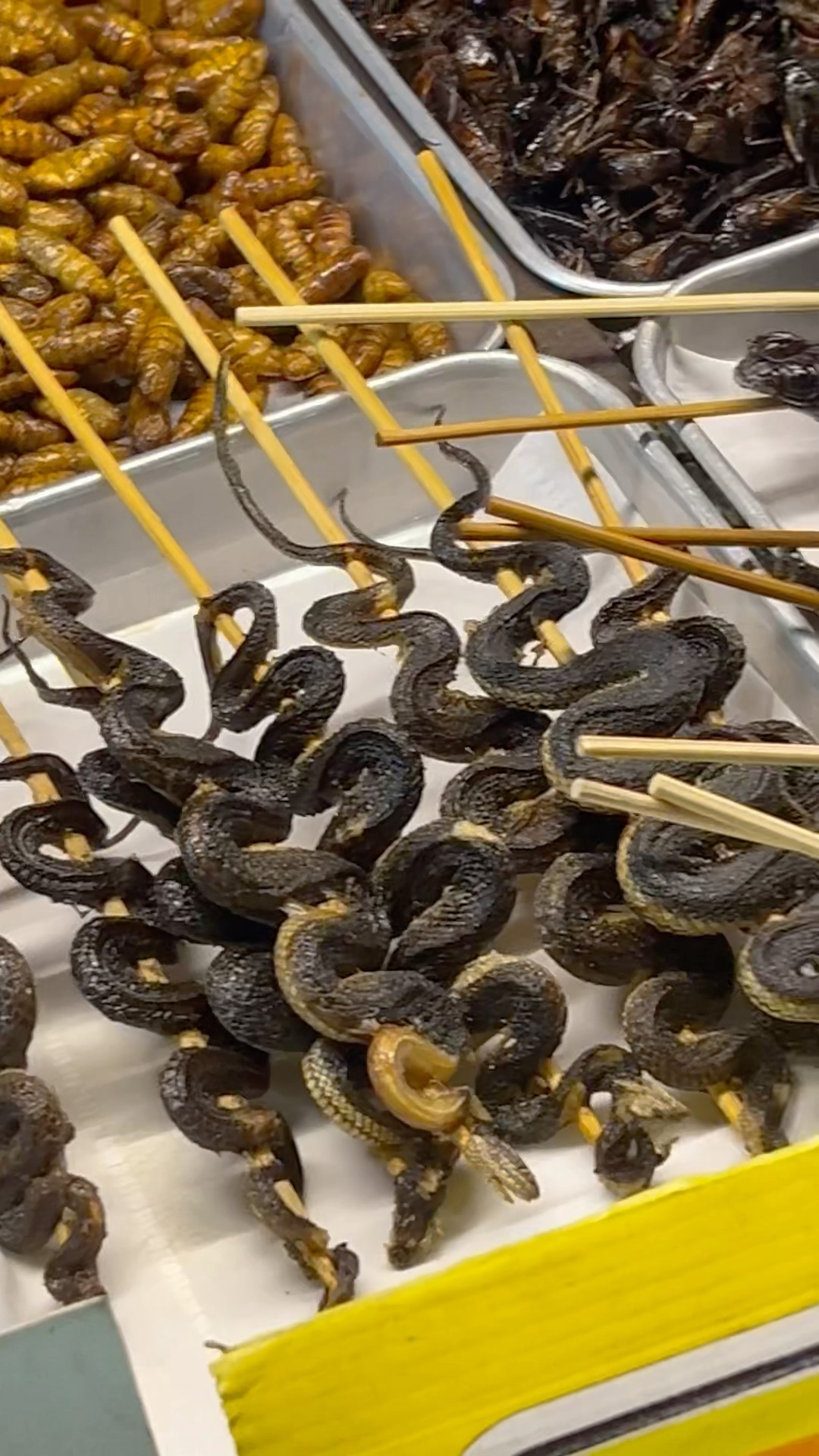 Malam di pasar malam Thailand, tempatnya makanan jalanan yang super seru! Dari laba-laba goreng hingga ular kriuk-kriuk,...