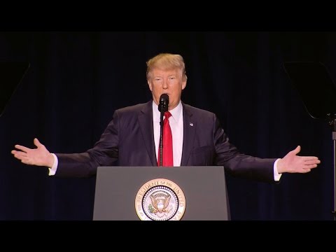 Watch lagu Images Videos Celebrity Apprentice Ratings History, Watch Images Celebrity Apprentice Ratings History free Watch, Watch Images Celebrity Apprentice Ratings History