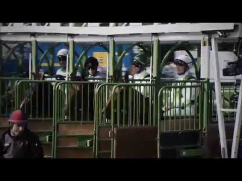 Die Große Woche in Baden-Baden 2014