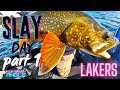 Video Thumbnail for Insane Pre-Spawn Lake Trout Fishing - Most Fish Caught in One Spot!  #laketrout #prespawn