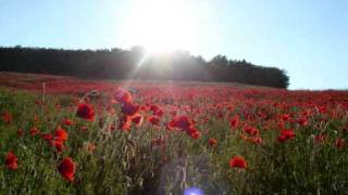 Gesù Bambino - Francesco De Gregori