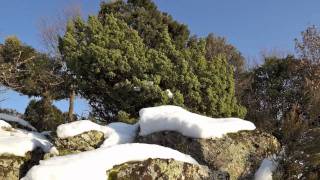 preview picture of video 'Villagrande Strisaili e Lago Flumendosa 'HD''