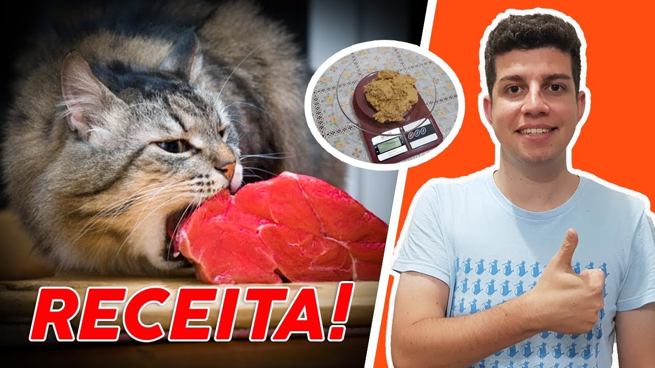 Alimentação Natural Para Gatos Receitas | Como Fazer Alimentação Natural Para Gatos Fácil e Simples!