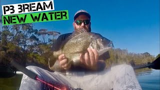 preview picture of video 'New water Bream fishing'
