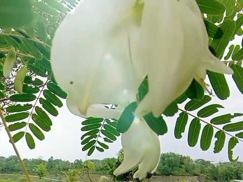 Sometimes love just ain't enough Song by:Patty Smyth ft.Don Henley