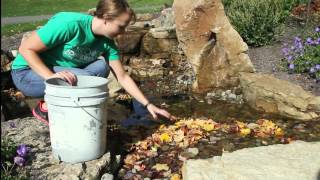 How to Winterize your Pond-free Waterfall