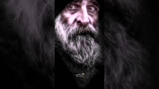 شيبات كبرنه وصار اسمنه اليوم
