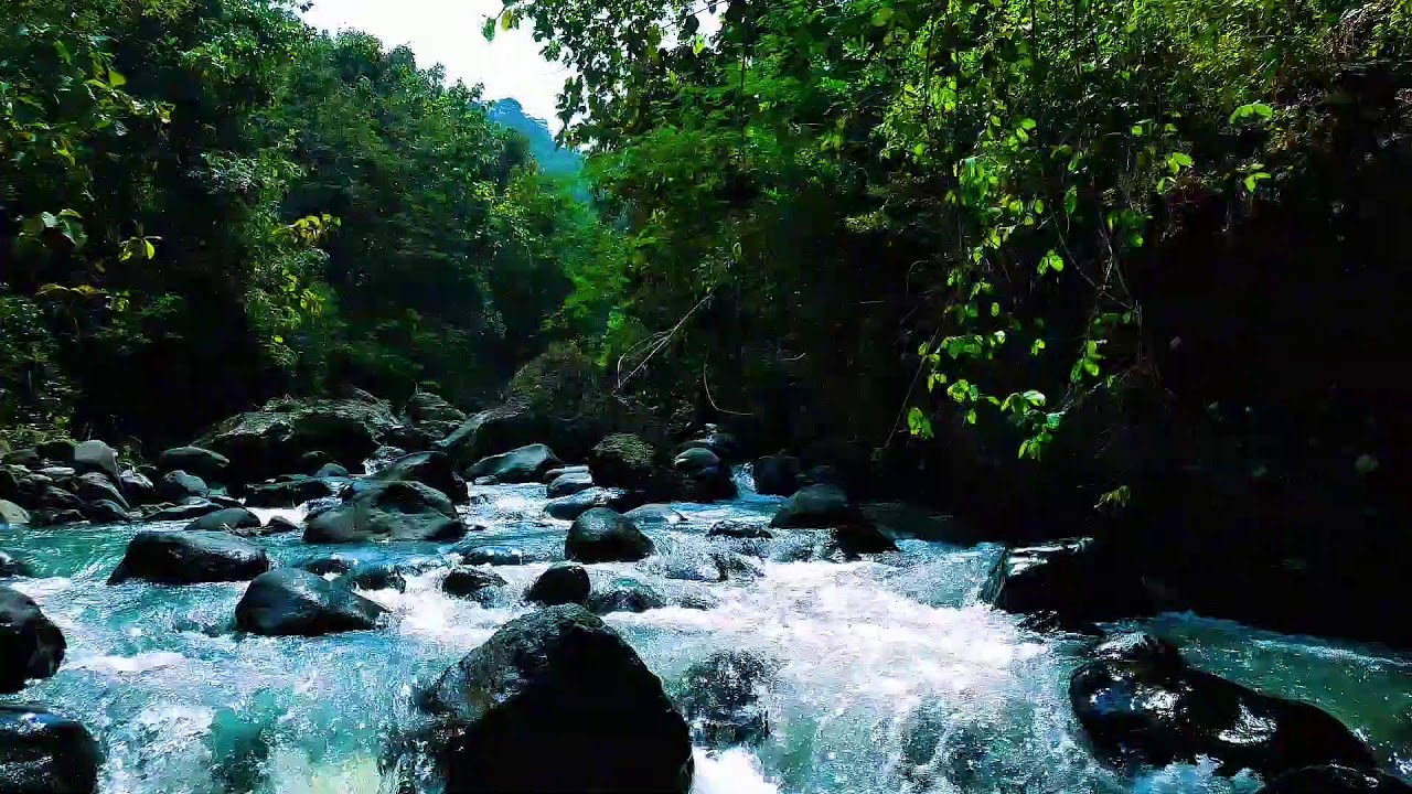 💤 Gentle River Flow Sounds for Deep Sleep & Relaxation Part 05