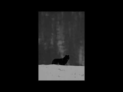 (FREE) Future x Drake Type Beat (HARD) - "HONOR"