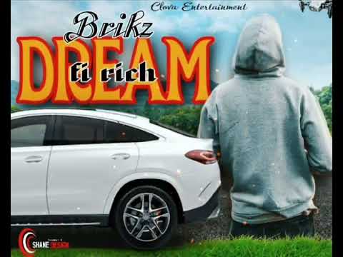 Brikz - Dream Fi Rich (Official Audio)