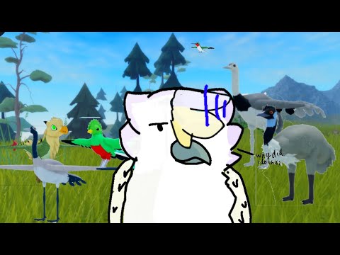 Ghost hunt servers be like:
