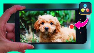 How to Color Grade PHONE FOOTAGE - For Total Beginners