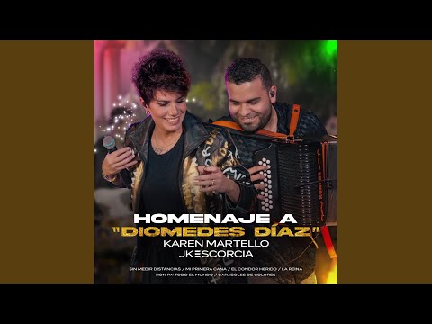 Homenaje a Diomedes Diaz : Sin Medir Distancias / Mi Primera Cana / El Condor Herido / La Reina...