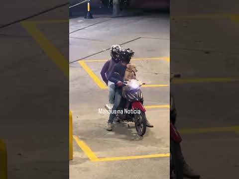 Caramelo quer passear de moto 😁 . . #comedy #caramelo #dog #doglife #dogs #dogshorts #dogvideos