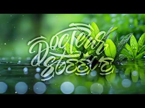 DR STEEVE • PERDONAME - ZOUK REMIX (202V).