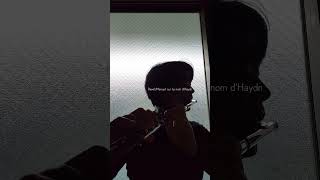 Download lagu ラヴェル/ハイドンの名によるメヌエット Ravel/Menuet sur le nom d'Haydn #フルート #吹奏楽 #flute mp3