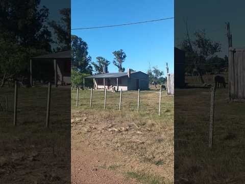 Localidad Tres Puentes o Berruti , departamento de Rivera 🇺🇾🇺🇾🇺🇾 . Videitos cultura uruguaya .