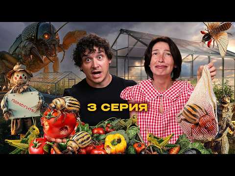 СЕЛЬСКИЙ ХОРРОР: ПУГАЛО / ЖЕСТОКОЕ НАПАДЕНИЕ/ ЛОВУШКИ / ЧЕГЕРЯ серия 3