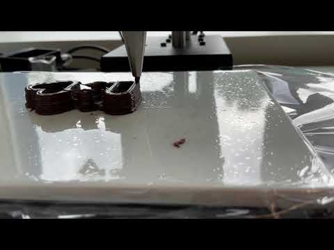 Die Porta Nigra im 3D-Druck