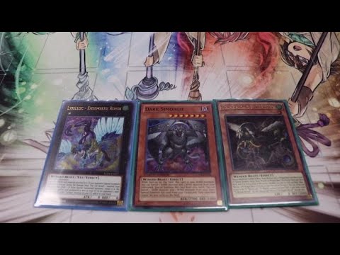 *Yu-Gi-Oh!* UNDEFEATED! 1st Place Locals! Lyrilusc Tri-Brigade Deck Profile! (Nov. 2021)