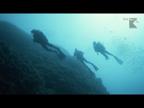 Plavnik - Tauchen in Kroatien