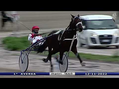 Aversa trotto 12 Novembre 2022 - 1° Corsa