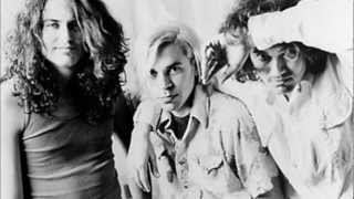 Meat Puppets - &quot;I&#39;m A Mindless Idiot&quot;