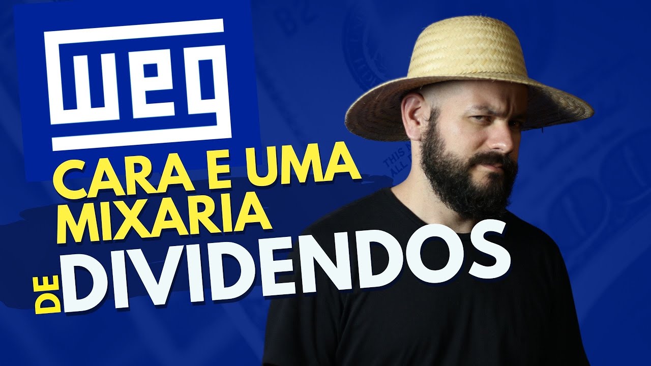 A WEG É EXTREMAMENTE CARA E PAGOU UM DIVIDENDO VERGONHOSO! WEGE3