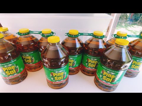 1,000 oz PineSol (10 Gallons) + New Grout Sponges | Extremely Suds