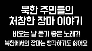 (7/14/26)처참한 북한 주민들의 장마 이야기