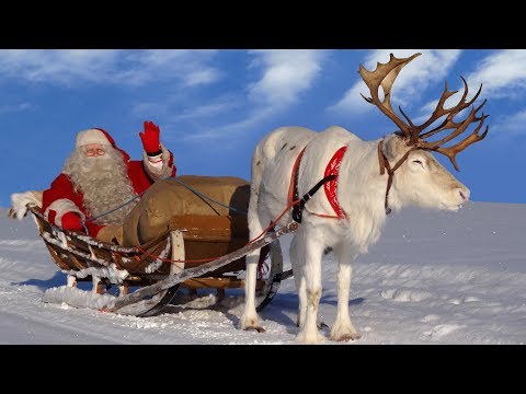 Santa Claus for kids 🦌🎅 Best reindeer rides of Father Christmas in Lapland Finland for children