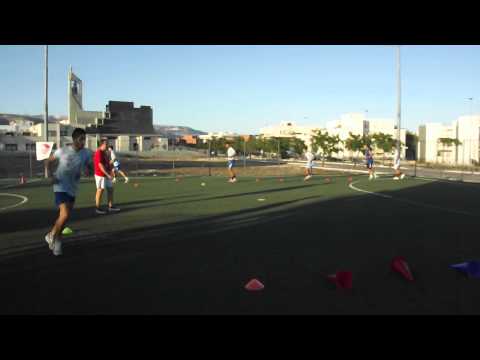 Asd Manfredonia C5 Stagione Sportiva 2012/2013