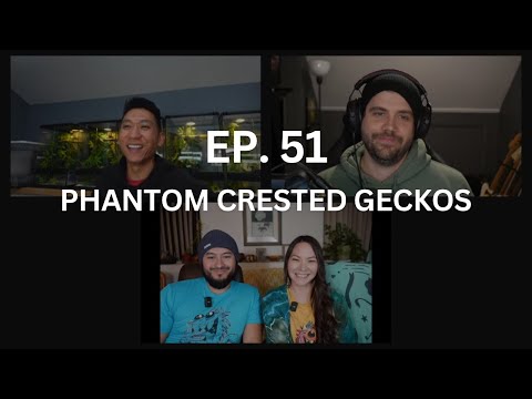 Phantom Gene in Crested Geckos | Ep. 51 of The Gecko Pod