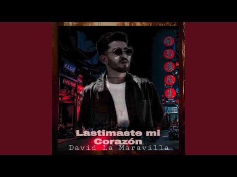 Lastimaste Mi Corazón