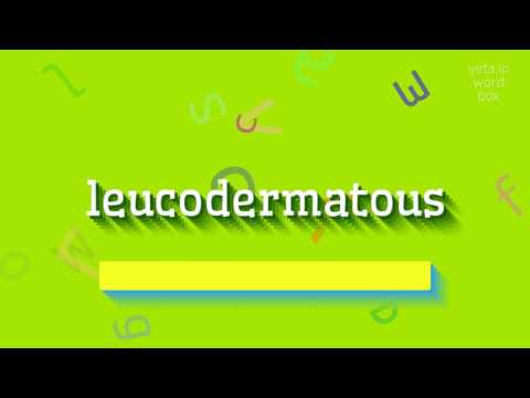 LEUCODERMATOUS - HOW TO PRONOUNCE IT?
