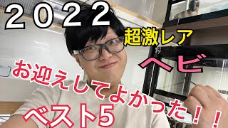 お迎えしてよかったヘビ全部見せます！